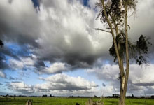 [国内球]师承殷铁生 山东队晋级四强.