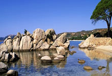 最近五个赛季五大联赛都进球20+的两人：姆巴佩、哈兰德.